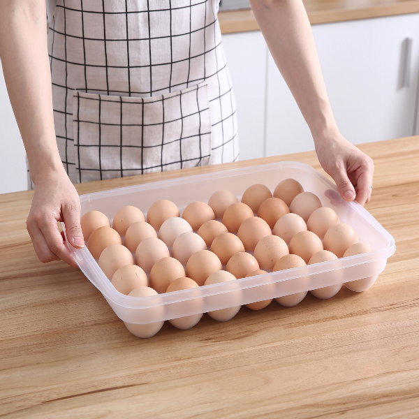 24 Grid Transparent Egg Storage Tray
