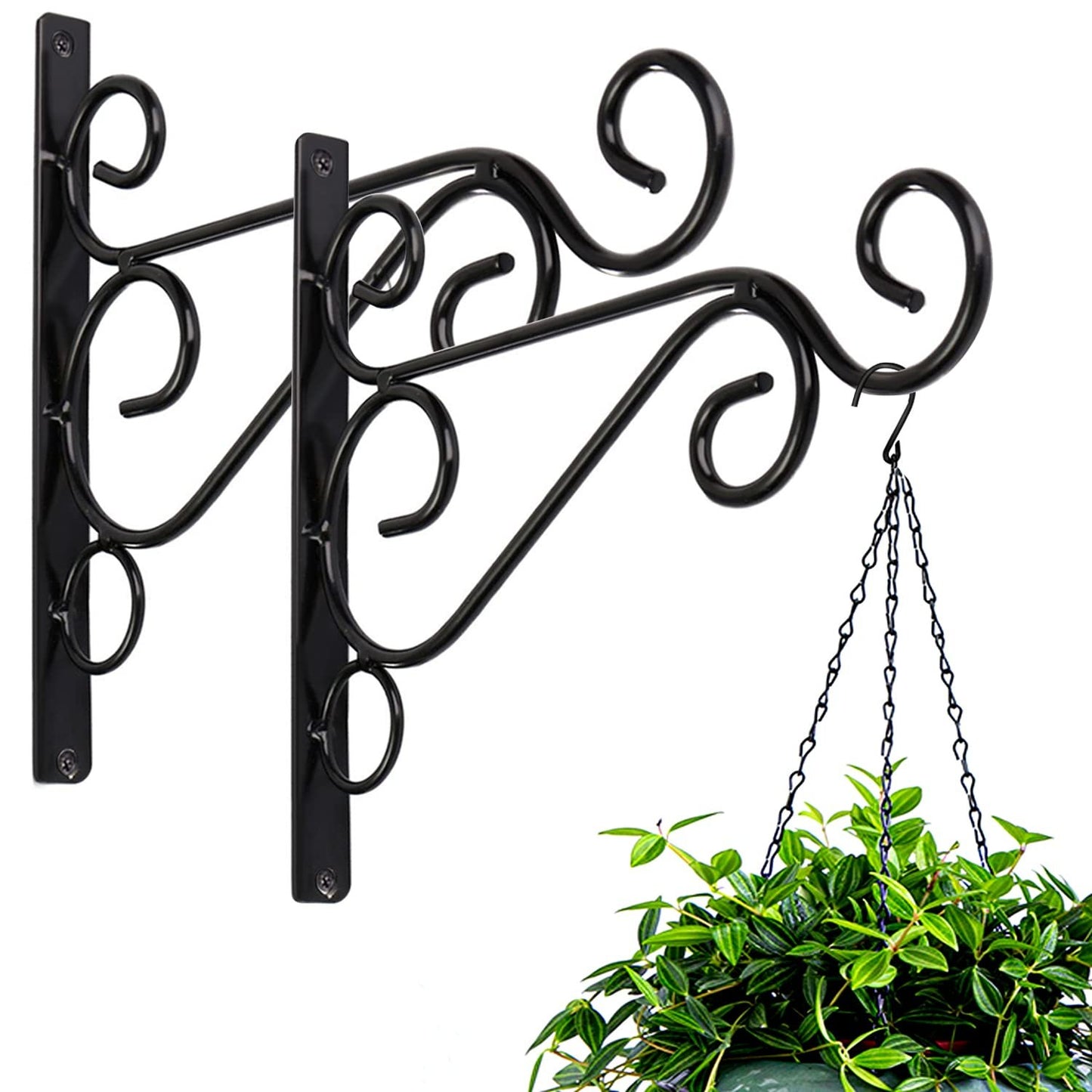 Iron Wall Mount Plant Hanging Hook - DS Traders