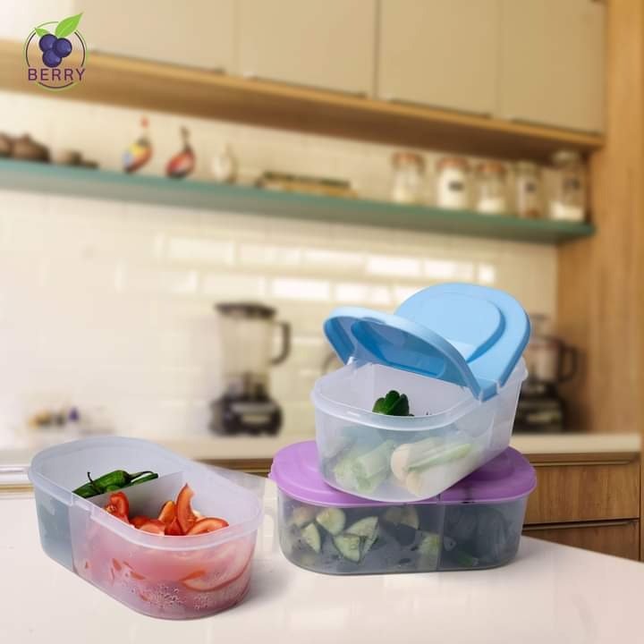 Splash Dual Compartment Food container - Pack Of 2 - DS Traders