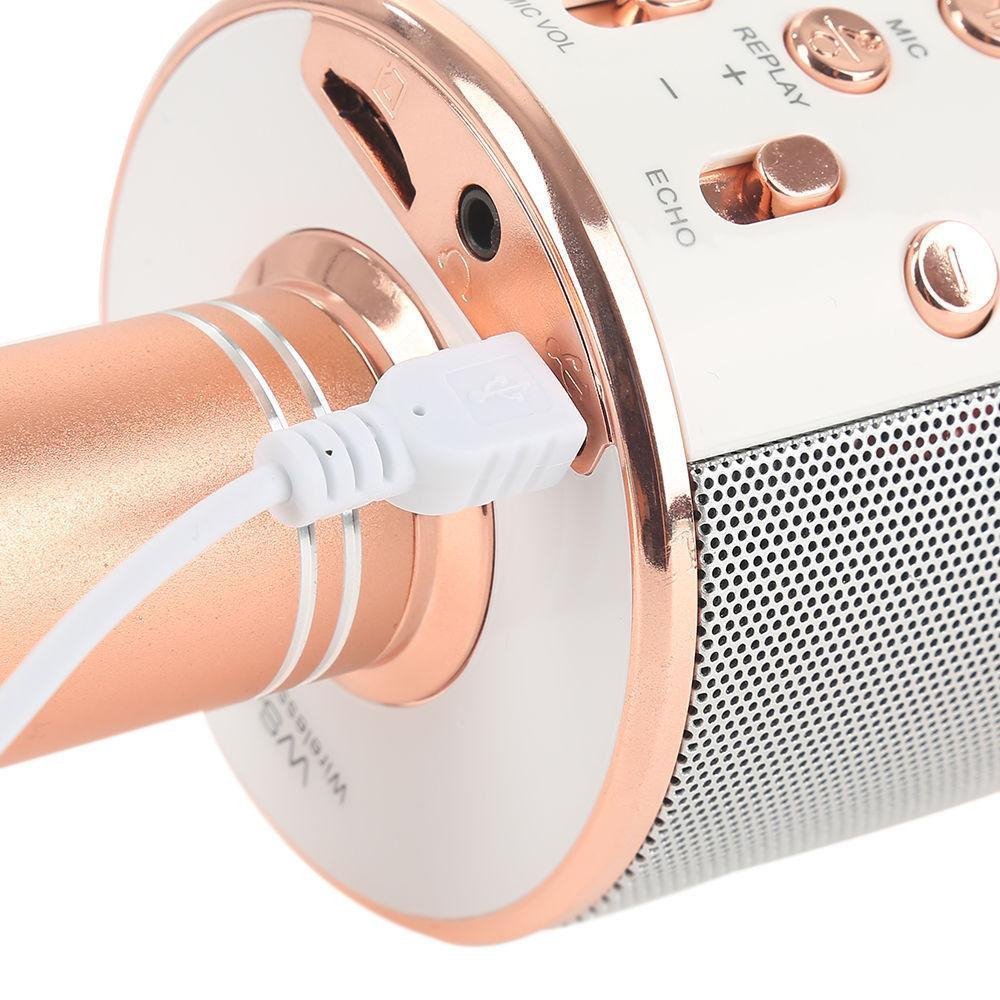 Wireless Microphone Hifi Speaker. - DS Traders