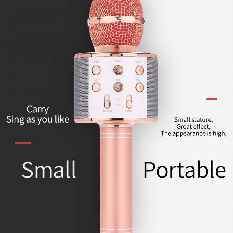 Wireless Microphone Hifi Speaker. - DS Traders