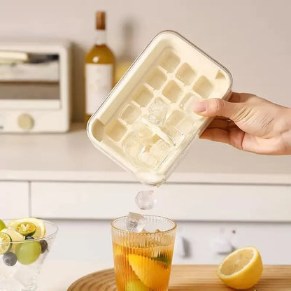 Mini Ice Cube Tray with Lid & Storage Box