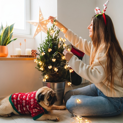 Honey Bee Decorative LED String Lights