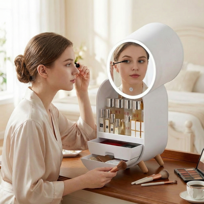 Large Cosmetic Storage Organizer with LED Mirror