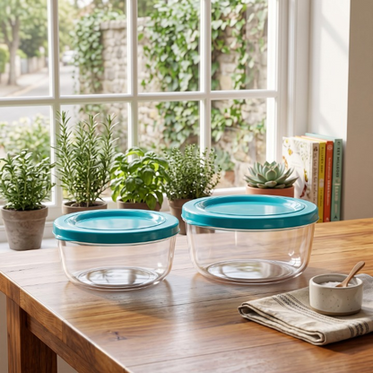 2PCs Transparent Airtight Storage Bowls