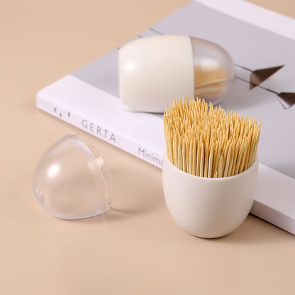 Egg Shape Magnetic Toothpick Storage Container