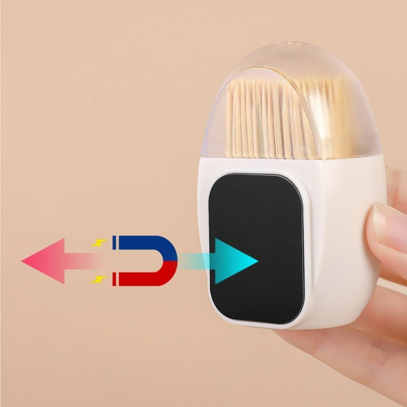 Egg Shape Magnetic Toothpick Storage Container