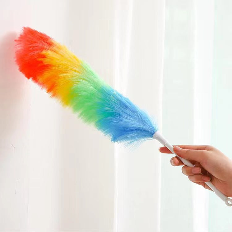 Multifunctional Plastic Feather Dusting Brush