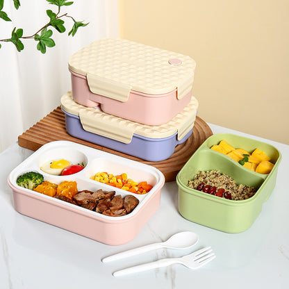 Rectangular Student Lunch Box