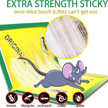 Expert Glue Trap Mouse Catcher - Sticky Board Catch Rat & Insects