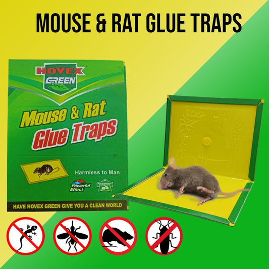  Expert Glue Trap Mouse Catcher - Sticky Board Catch Rat & Insects