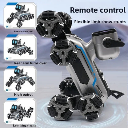 Remote & Watch Control Stunt Spray Robot Car