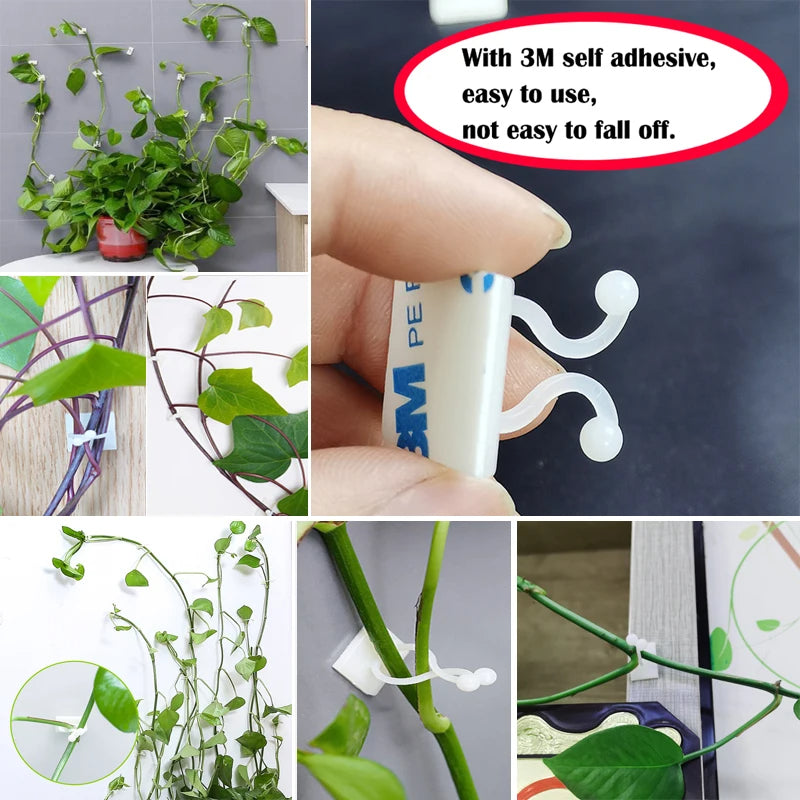 10Pcs Self Adhesive Plant Wall Clips