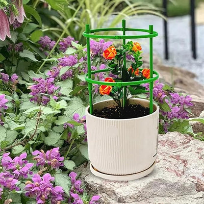 Plant Support Frame Cage