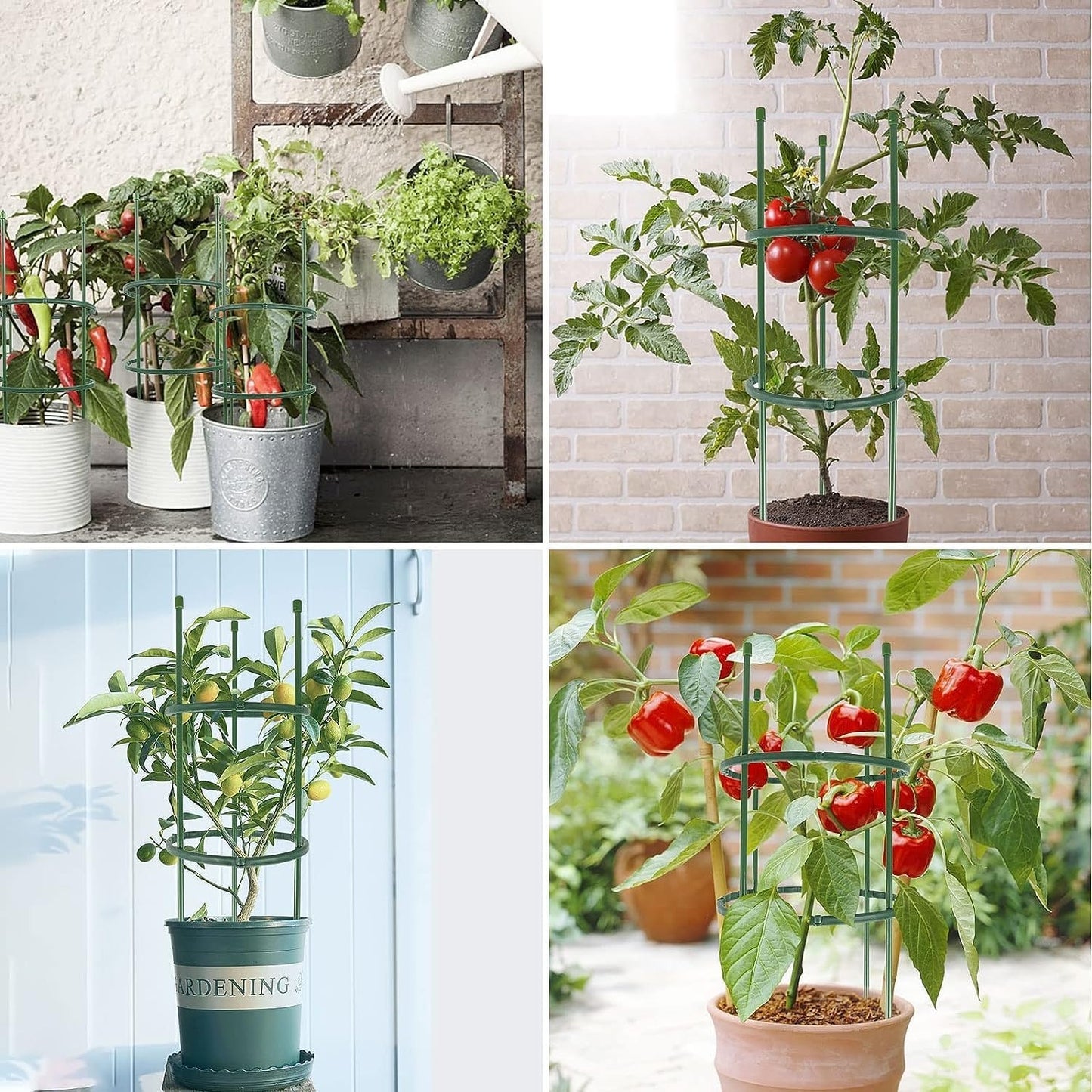 Plant Support Frame Cage