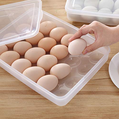 24 Grid Transparent Egg Storage Tray