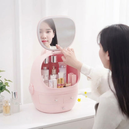 Portable Cosmetic Organizer With LED Light Mirror