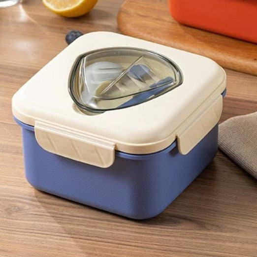 Four Compartment Lunch Box