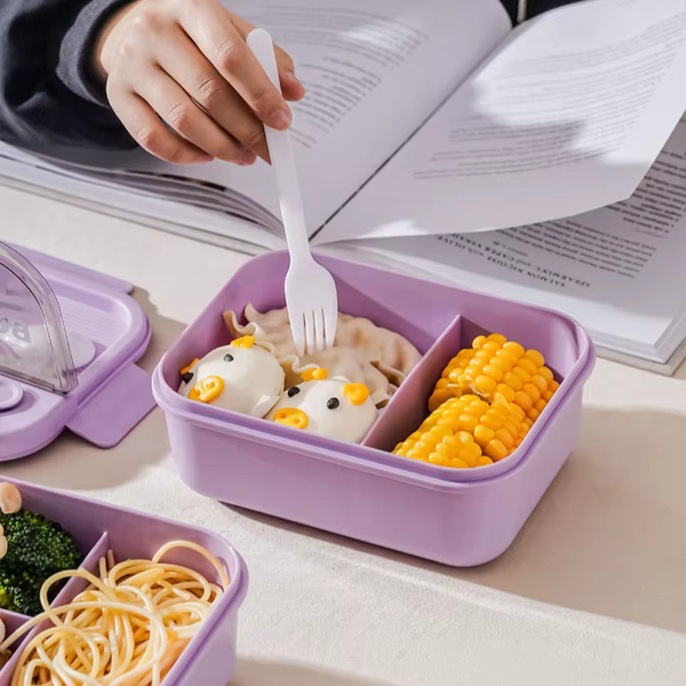 Two Compartment Lunch Box With Spoon Fork Chopstick