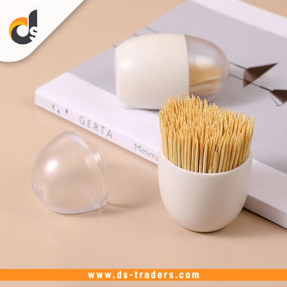 Egg Shape Magnetic Toothpick Storage Container