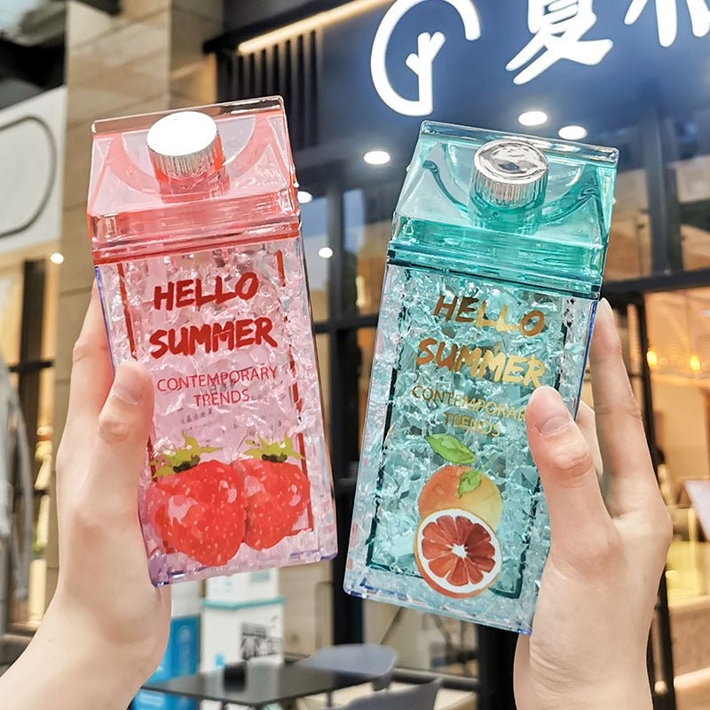 Double Layer Creative Square Ice Fruit Bottle With Straw. - DS Traders