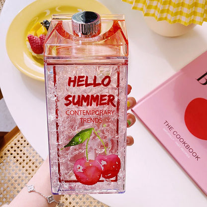 Double Layer Creative Square Ice Fruit Bottle With Straw. - DS Traders