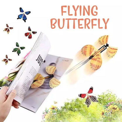 Flying Butterfly - Pack of 2 - DS Traders