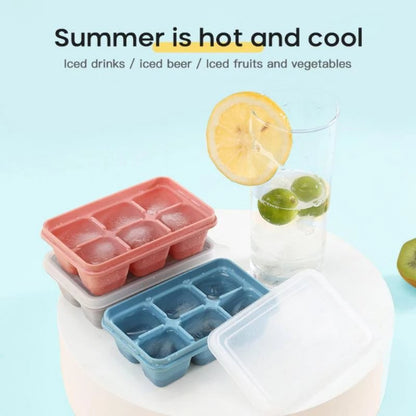 Ice Cube Mould with DIY Lid 6 Grid - DS Traders
