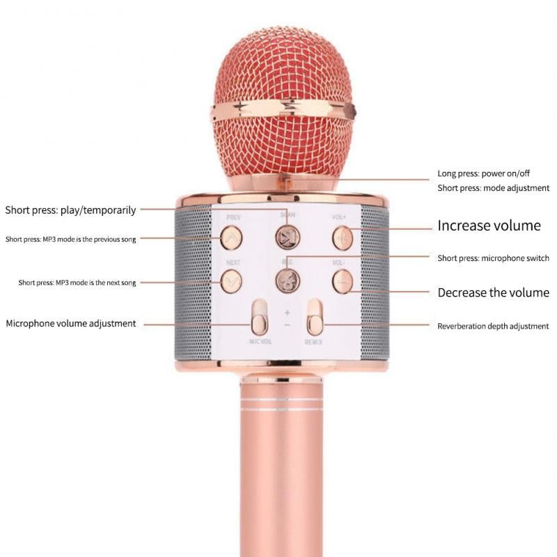 Wireless Microphone Hifi Speaker. - DS Traders